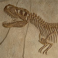 B.P.Issit - Sculpture and Props